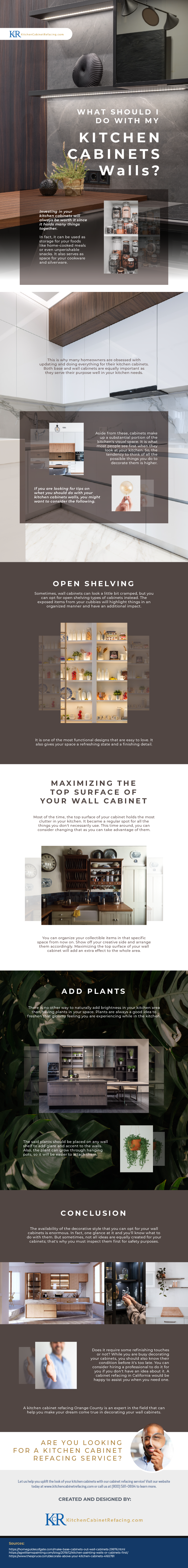 What_Should_I_do_With_My_Kitchen_Cabinets_Walls_infographic_image